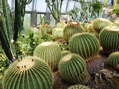 -国家植物园南园