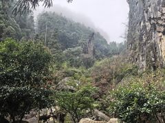 -刘伯温故里景区百丈漈