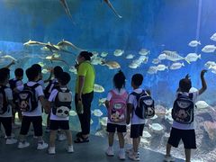-金豆子幼稚园