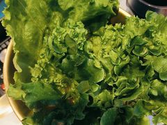 -杨记齐齐哈尔烤肉(总店)