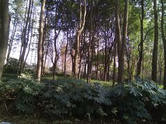 -苏州河梦清园环保主题公园