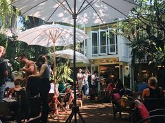 -Fern Forest Cafe