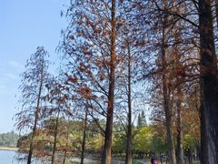 -南国桃园旅游度假区