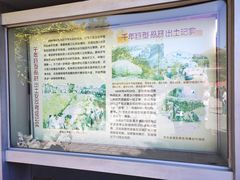 -正定古城-开元寺