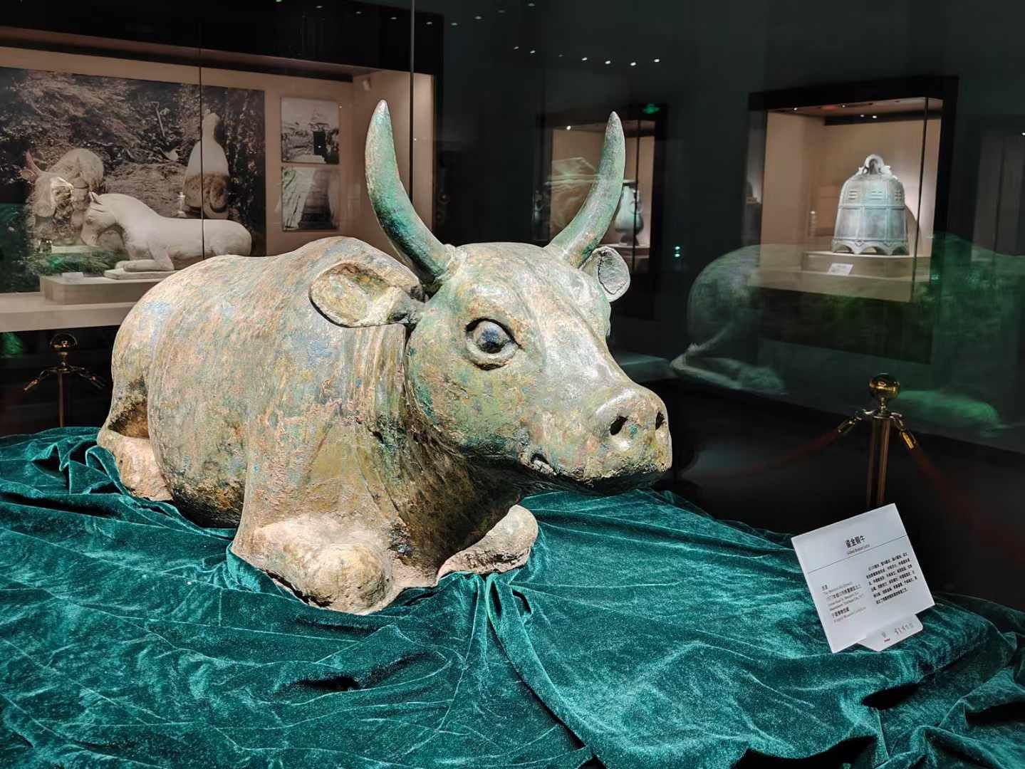 从西域传到内地.镇馆之宝鎏金铜牛,牛鼻子超逼真