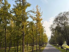 -汉长安城未央宫国家考古遗址公园