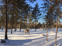 -北极村旅游风景区