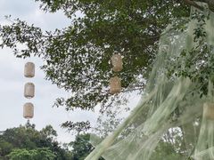 -广西壮族自治区药用植物园
