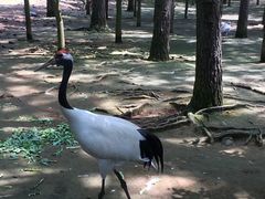 -鄱阳湖国家湿地公园