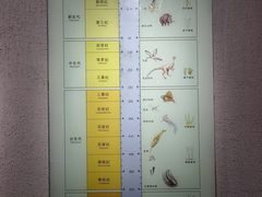 -烟台市博物馆