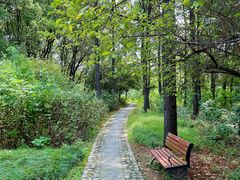 -昆山城市生态森林公园