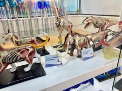 -斯坦星球AI编程·机器人科创·科学实验·信奥·思维·STEM·乐高·竞赛考级(长宁虹桥大融城荟聚中心)