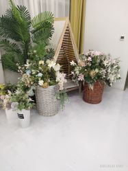 -小阿福儿童摄影(华中智谷店)