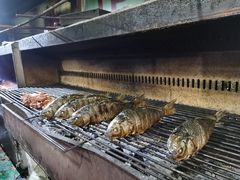 -玛扎烧烤私房菜