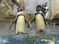 -太平洋海底世界