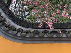 -龙华寺
