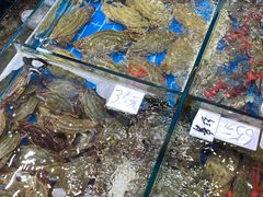 -船奇蒸汽海鲜·闽菜(八市海鲜总店)