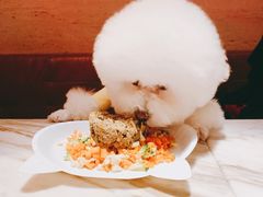 -the rug 飞毯 (朝阳公园店)