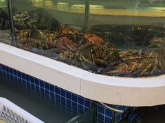 -大众海鲜(巨龙北路店)