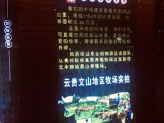 -食潮汕头鲜牛馆(望京保利店)