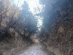 -函谷关历史文化旅游区