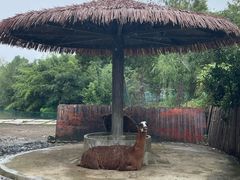 -宁波野生动物园