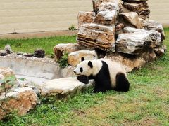 -石家庄市动物园