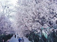 -山东师范大学(千佛山校区)