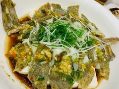 黄椒酱蒸多宝鱼-广州酒家(昌岗地铁站店)