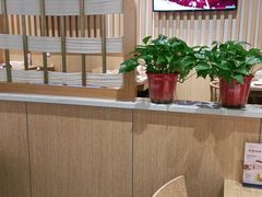 -杨翔豆皮涮牛肚(华阳城店)