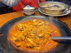 -红辣椒八爪鱼特色韩国料理