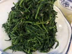 清香枸杞苗-国强手抓(北京西路店)