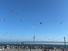 -星海广场