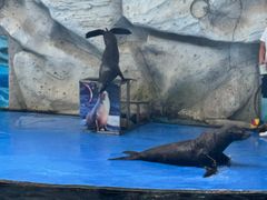 -泉州海丝野生动物世界