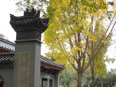 -莲湖公园