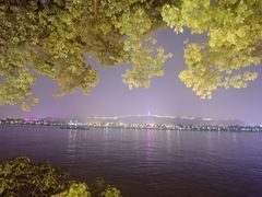 -杜甫江阁