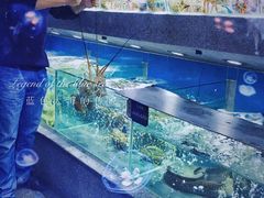 -欧记·龙城港(欣都店)