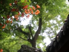 -成都杜甫草堂博物馆