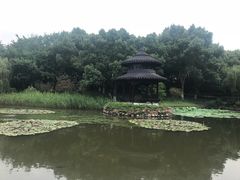 -天目湖山水园