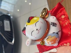 -大连中升雷克萨斯(华北路店)