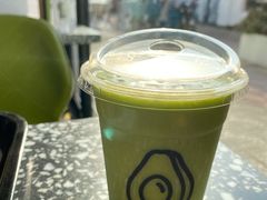 能量油梨果-油梨树AVOCADO TREE(顺义新国展店)