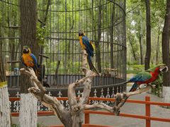 -北京野生动物园