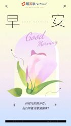 -靓芙泉专研痘痘肌