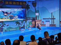 -石家庄极地海洋世界