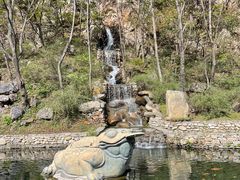 -大连天门山国家森林公园