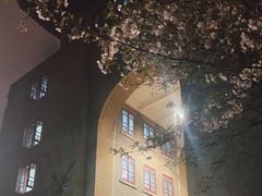 -武汉大学-樱园