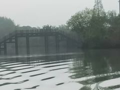 -白塔湖国家湿地公园