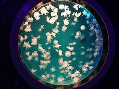 -多彩贵州城极地海洋世界