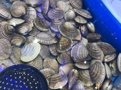 -澜悦港海鲜体验主题餐厅