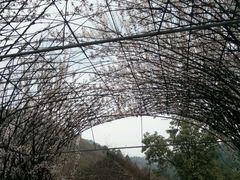 -木兰云雾山